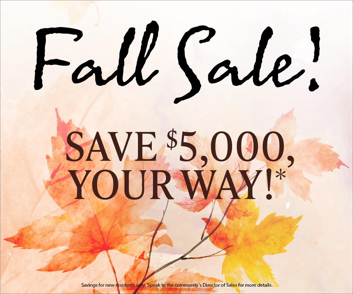 Slider_Fall Sale_Oct2025_1200 x 1000 -save 5k